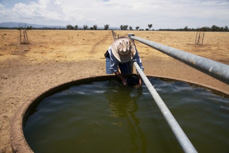 Climate must dictate water policy: Productivity Commission