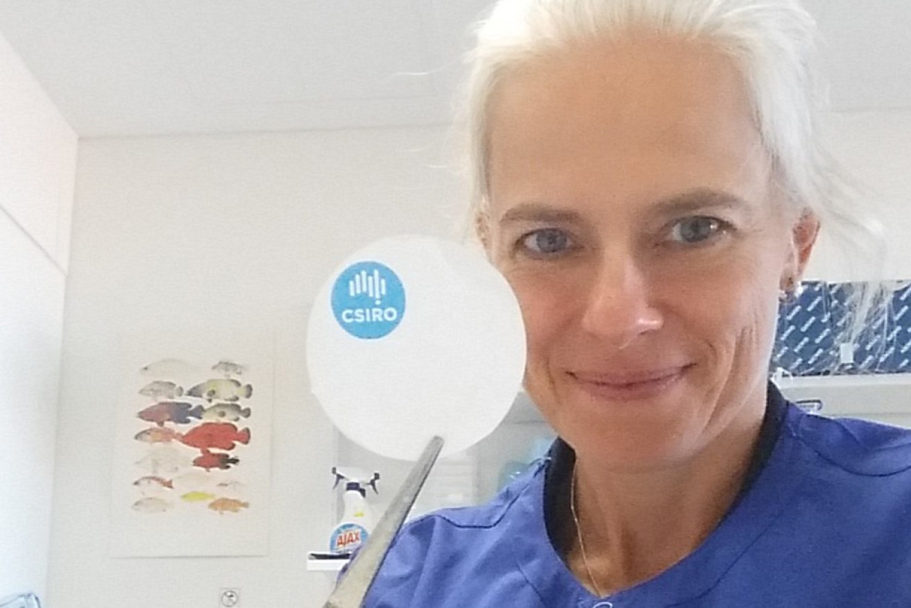 CSIRO marine scientist Dr Cindy Bessey has uncovered a better way of harvesting eDNA.