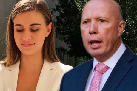 Dutton’s office knew of Higgins allegations: AFP