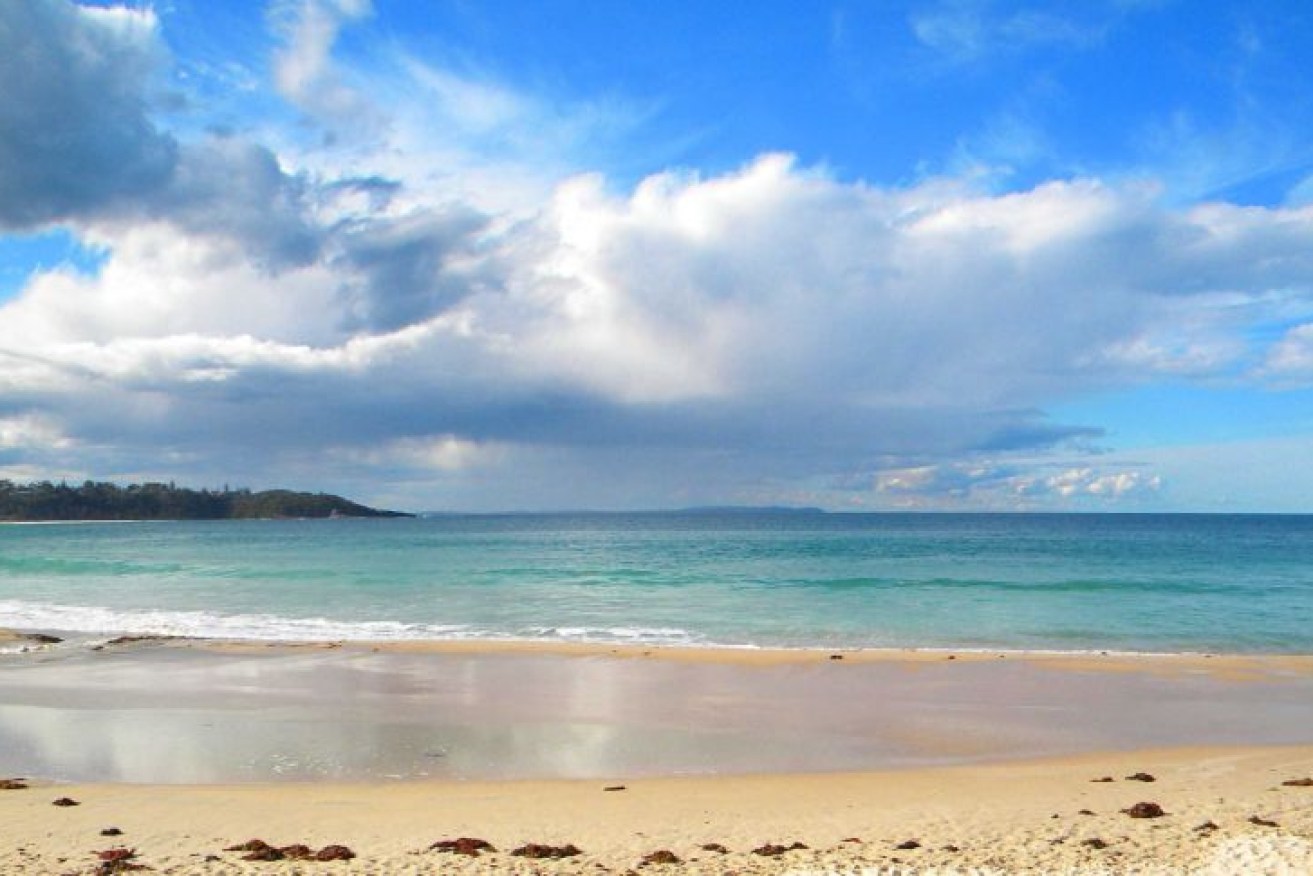 The remains washed ashore at Mollymook, about 230 kilometres south of Sydney.