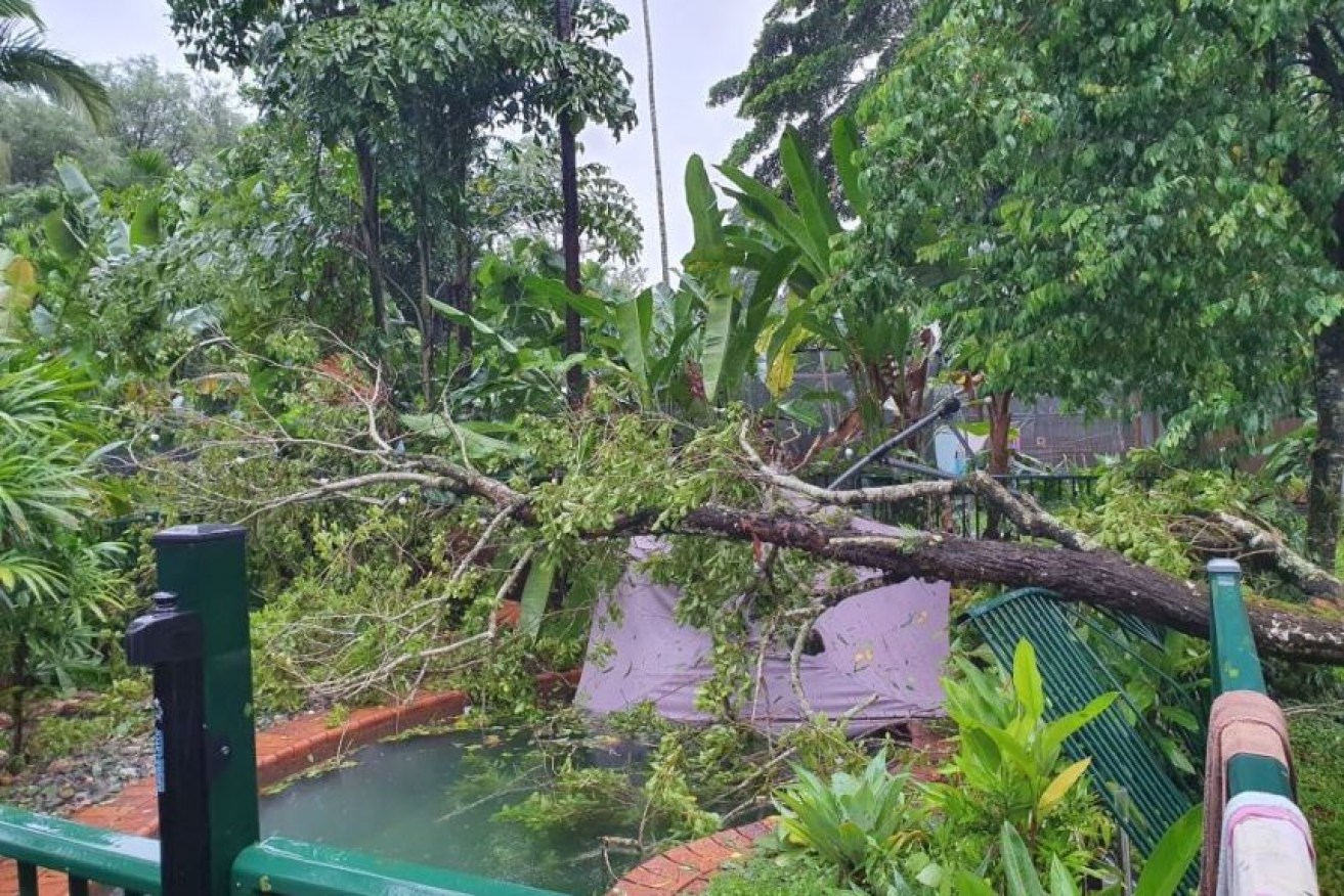 Wild weather left a mess in a Cairns backyard on Monday.