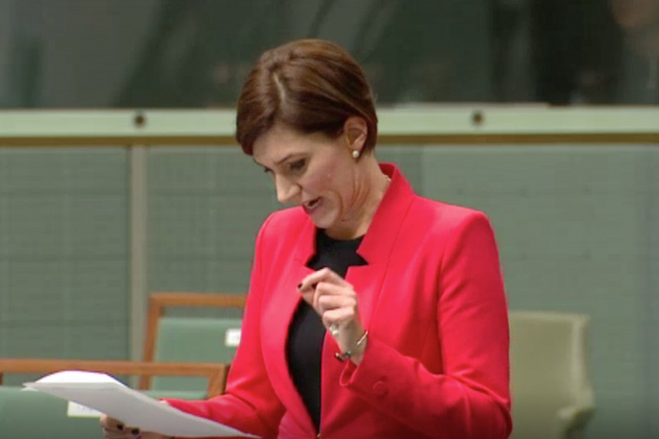 Liberal Member for Boothby Nicolle Flint in Parliament on Tuesday night. 