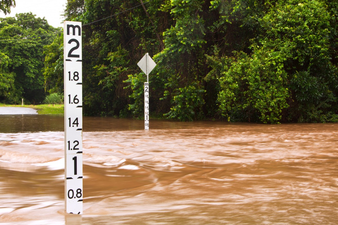 Sydney is forecast to receive more than 200 millimetres of rain in the next three days as the deluge closes in.