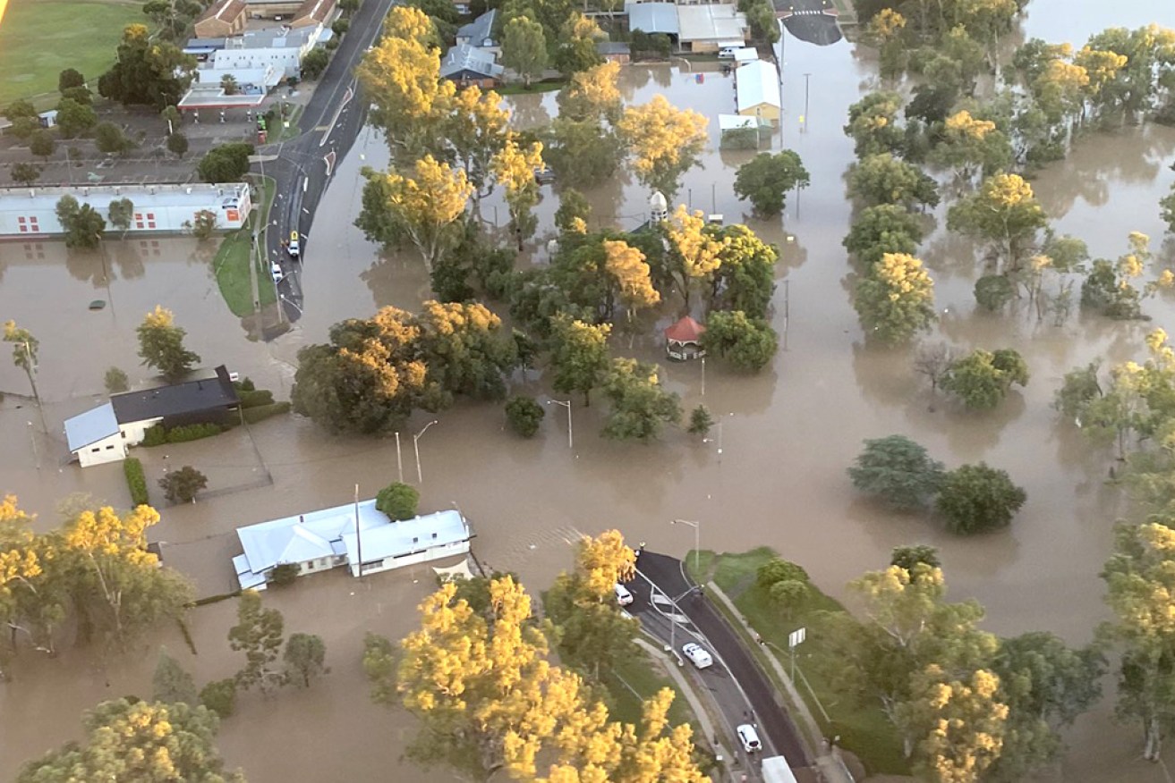 Moree has been split in two by floodwaters from the Mehi and Gwydir rivers.