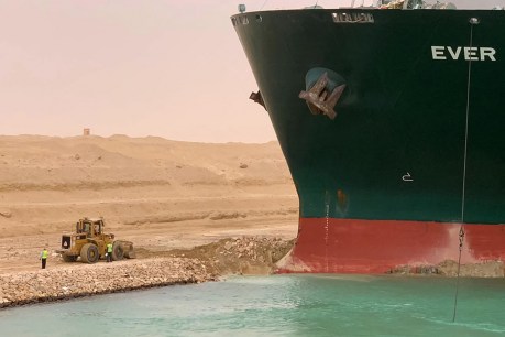 Skyscraper-sized ship freed from Suez Canal