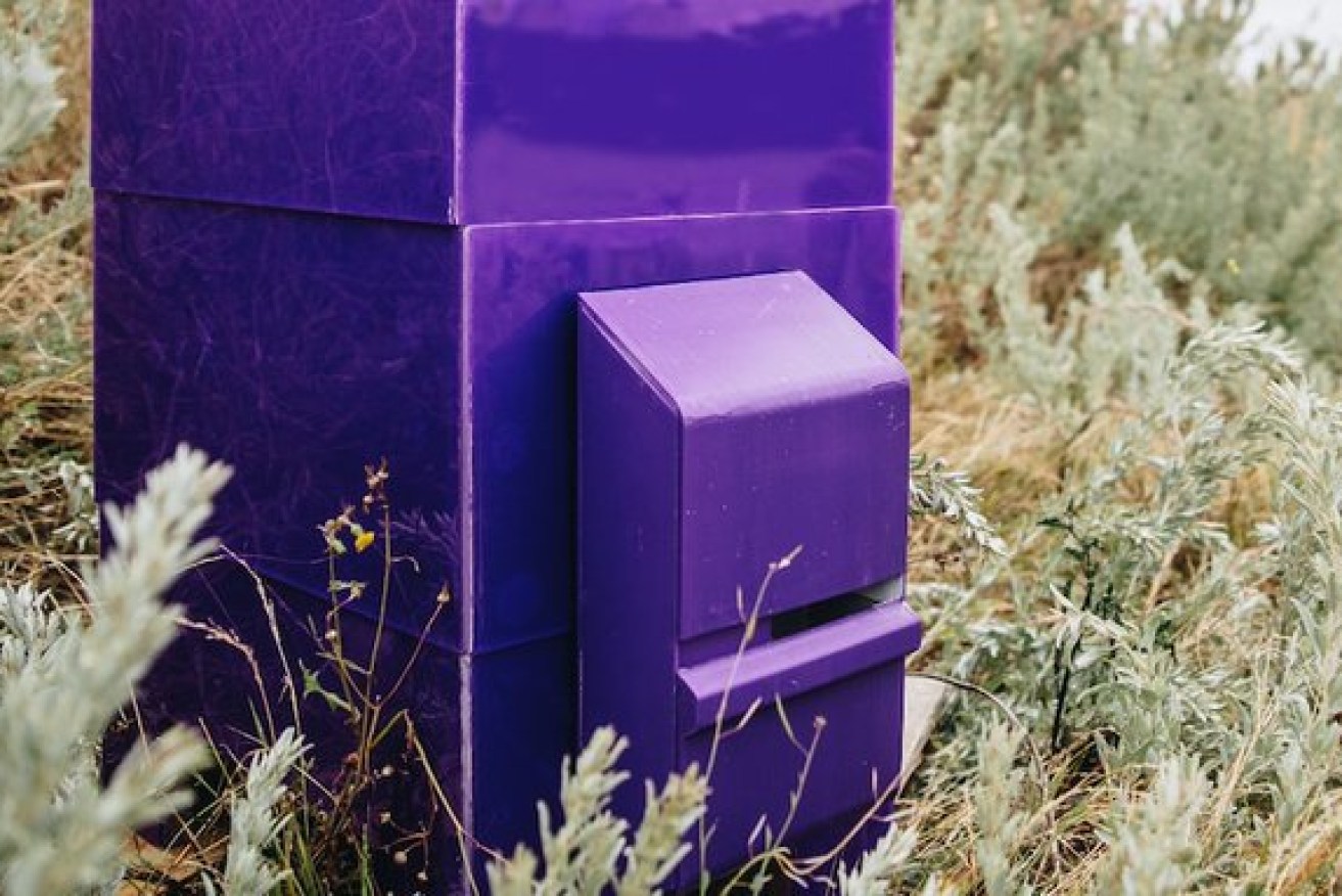 A solar-powered device known as Purple Hive is being installed at the Port of Melbourne to help keep the bee pest Varroa destructor out of Victoria.
