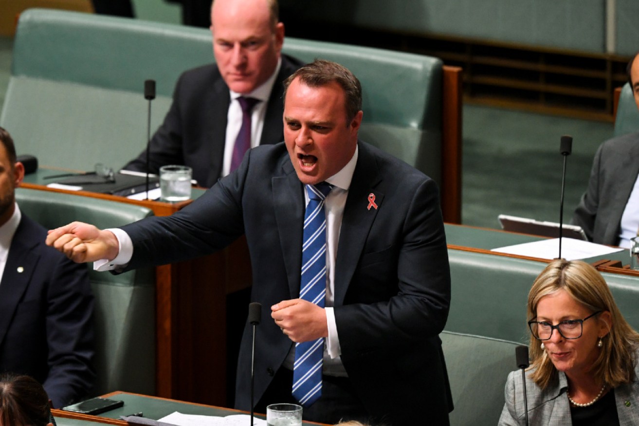 Tiffen believes the preselection of former MP Tim Wilson won't do the party any favours with voters.
