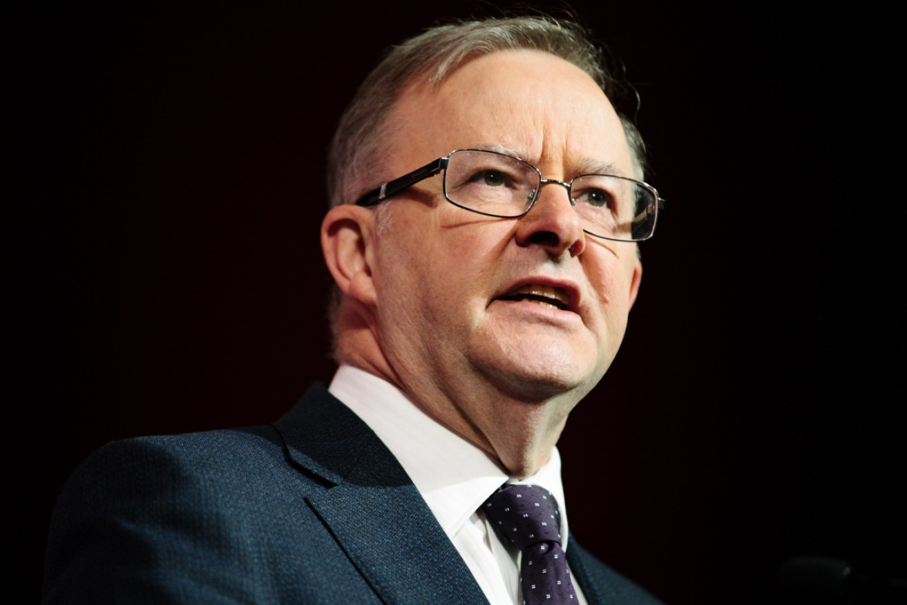 Anthony Albanese will outline Labor's education promises on Sunday. 