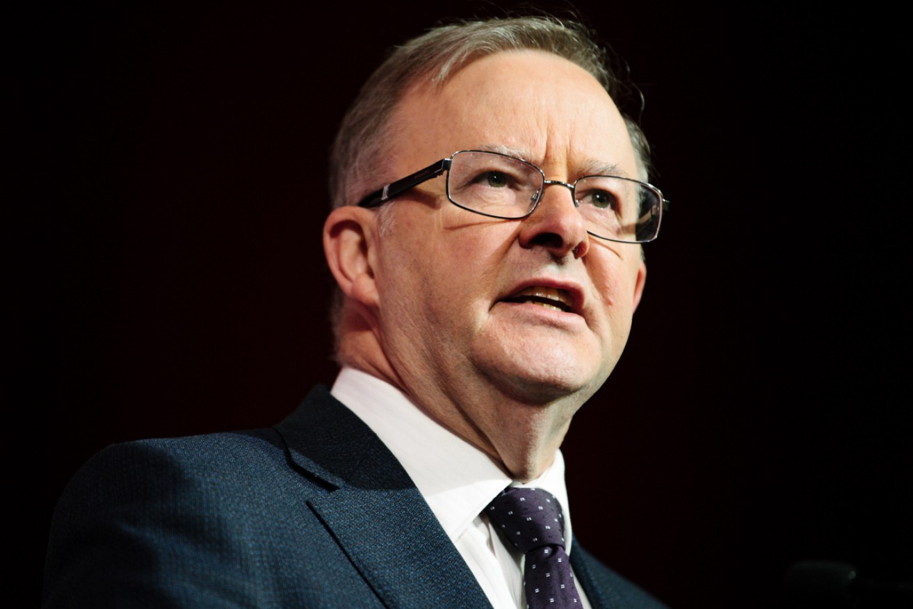 Anthony Albanese will outline Labor's education promises on Sunday.
