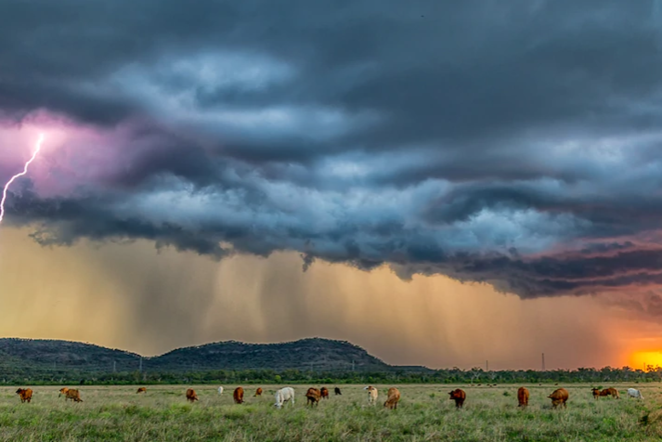 Queenslanders can likely expect their Monday holiday to be a touch on the damp side.