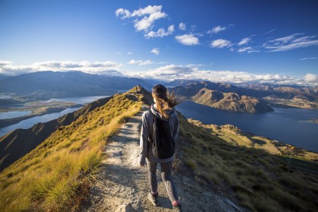 Visits to NZ back within weeks, as borders open