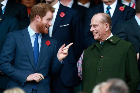 Royals tell of anguish as Harry faces solo pain 