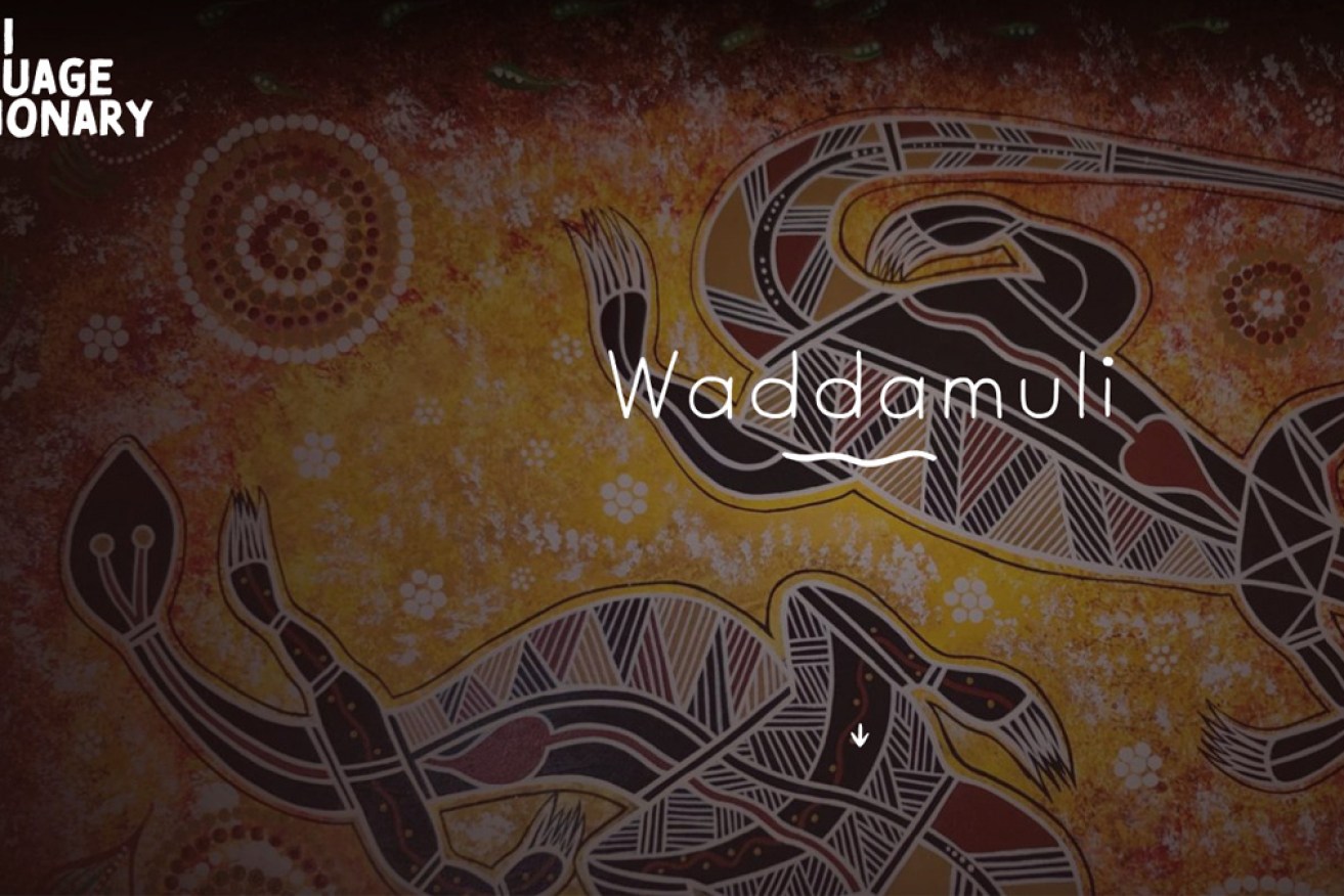 The Wirdi language interactive dictionary was established by traditional owners to safeguard the culture. 