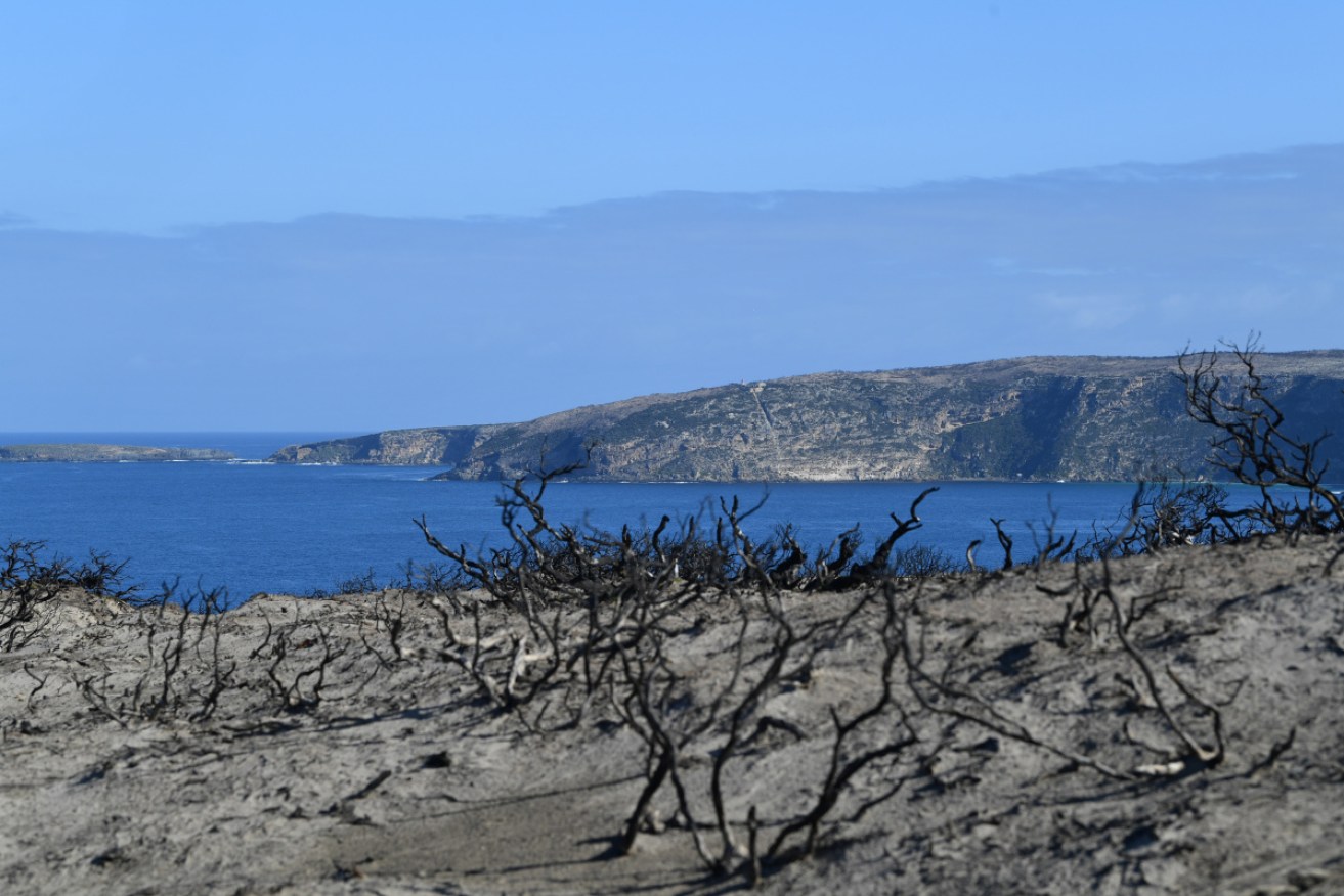 Fires on Kangaroo Island, in the Adelaide Hills and north of the city are no longer a threat.