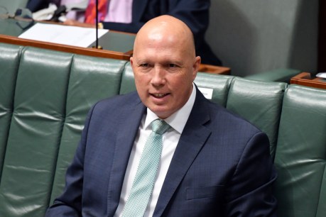 Peter Dutton and high-profile Liberals staring down challenge from independents