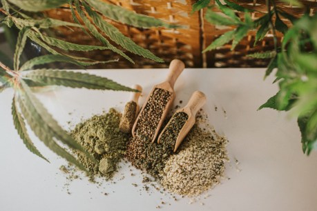 Hemp's high in protein and good oils, but low in sales