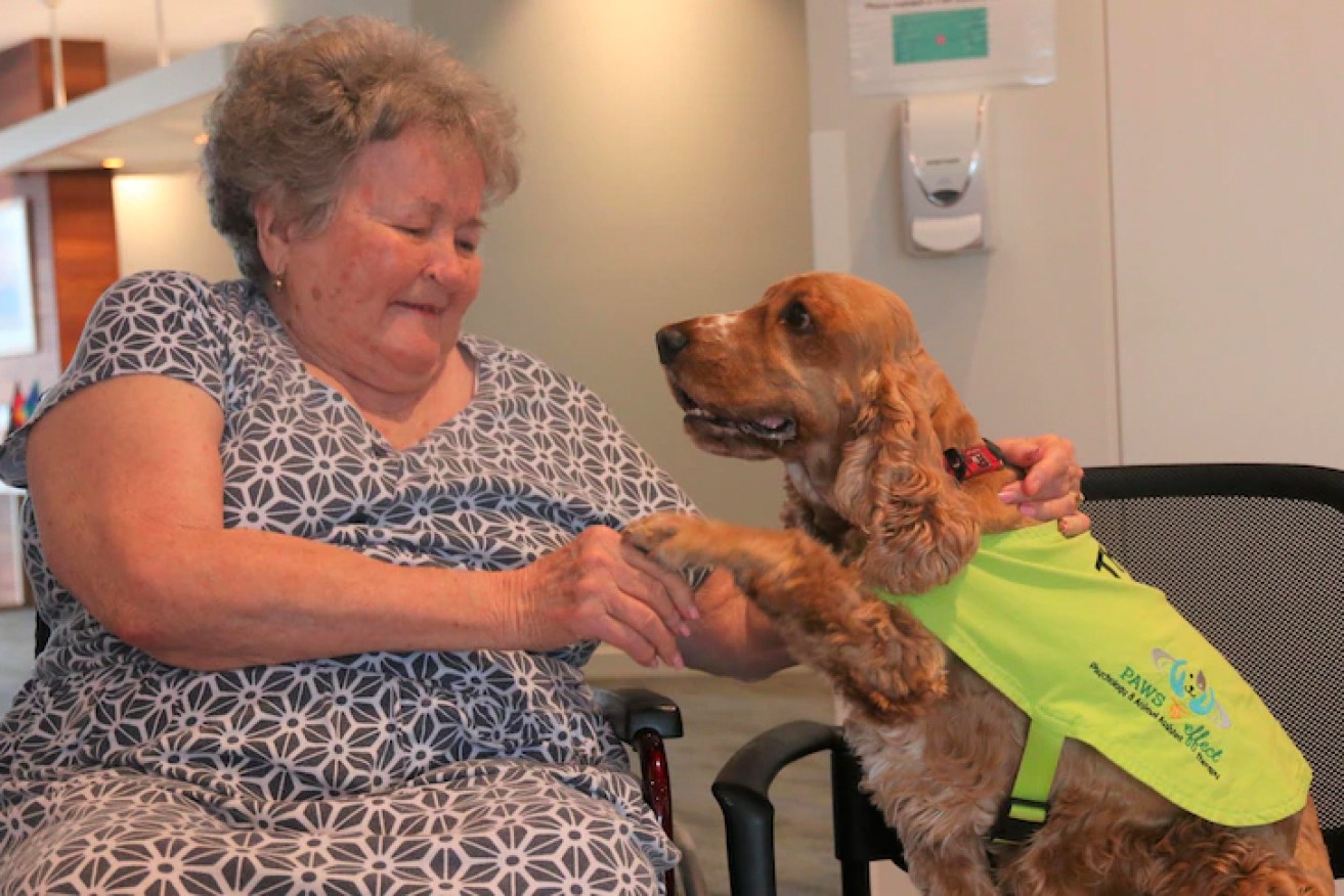 Elvie Fawcett says therapy dog Sunni brings much joy to aged-care residents. 