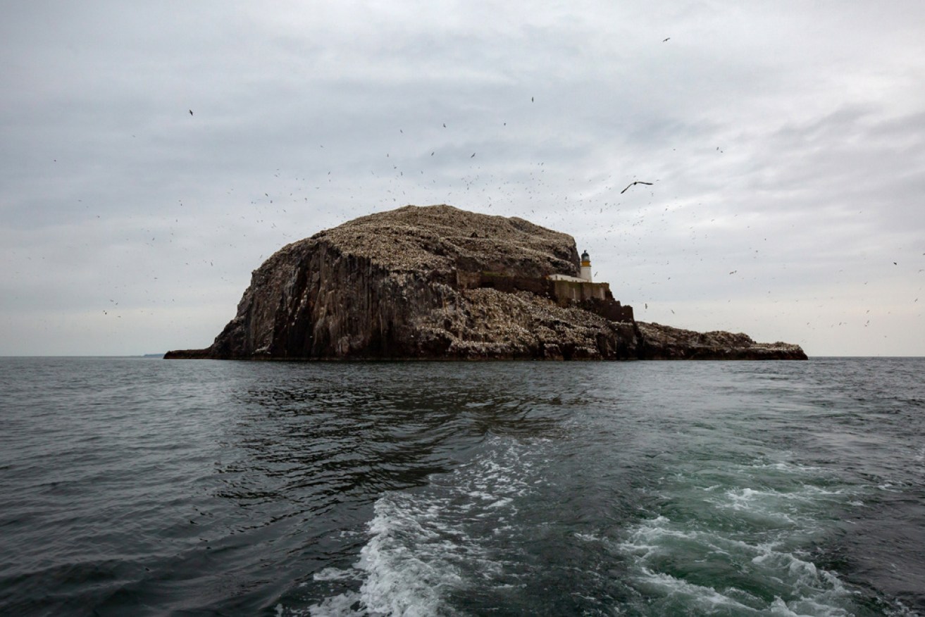 Bass Rock, off the Scottish coast, is the setting for the Stella Prize-winning novel.