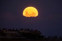 Pictures: Pink supermoon lights up the world 