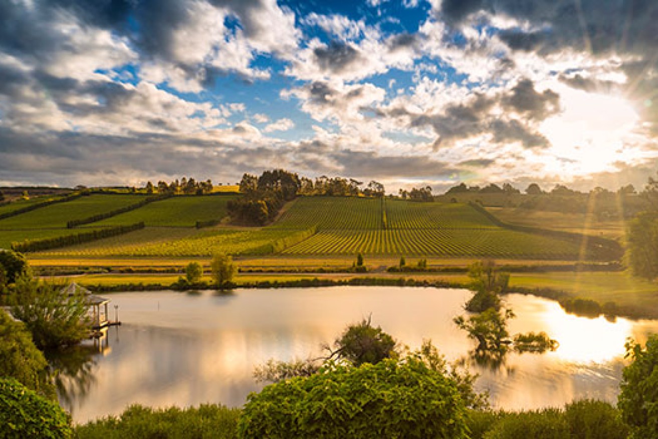 No visit to Tasmania’s wine country is complete without stopping by Josef Chromy.