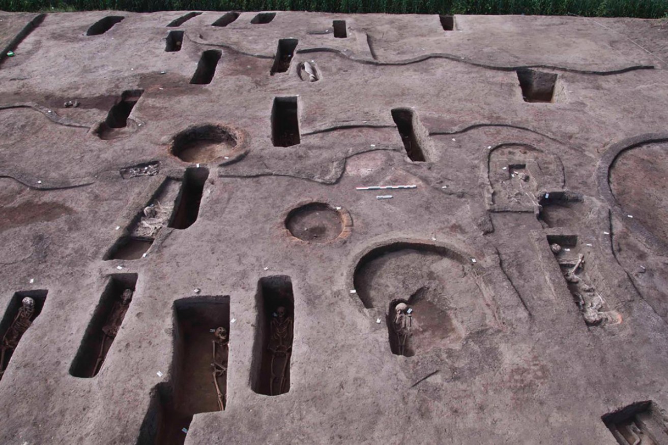 The ancient burial tombs unearthed recently in the Koum el-Khulgan archeological site. 