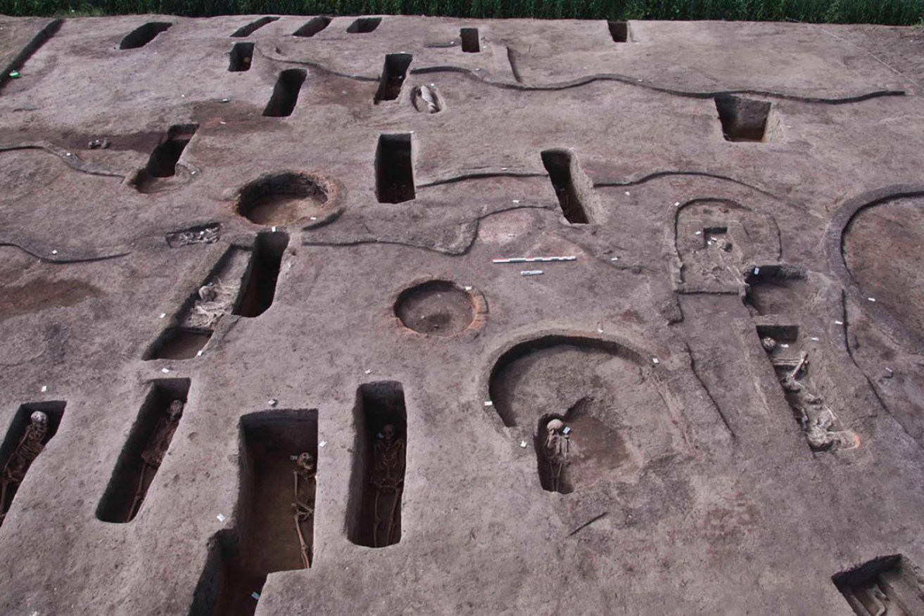 The ancient burial tombs unearthed recently in the Koum el-Khulgan archeological site.