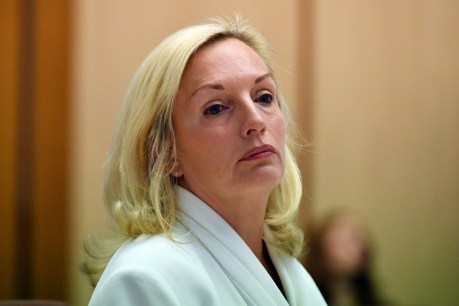 Christine Holgate says she was PM’s ‘roadkill’