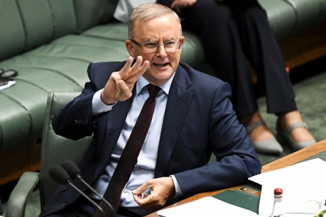 Albanese blames Morrison for Sydney outbreak