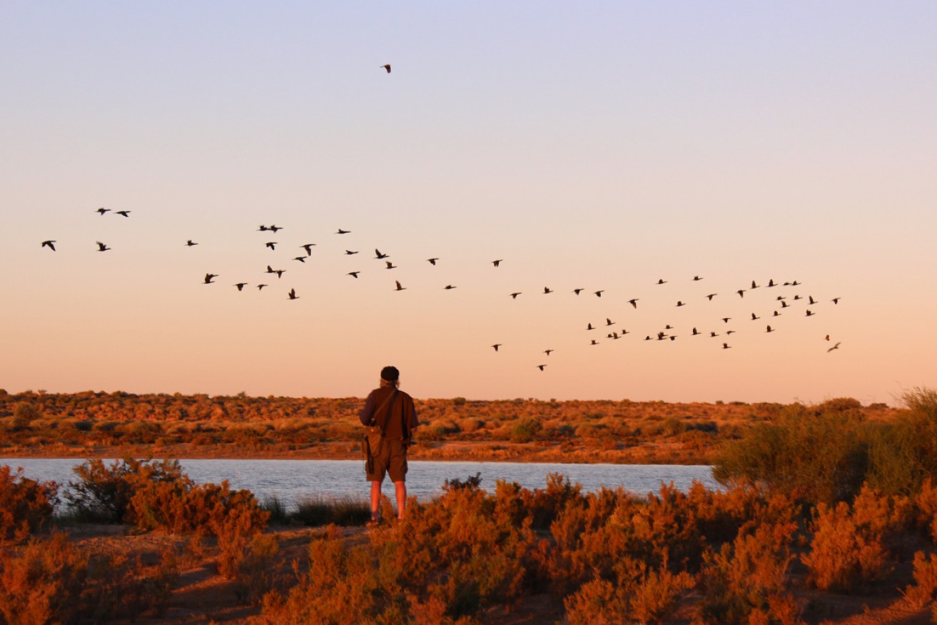 SA's Munga-Thirri–Simpson Desert Regional Reserve and Conservation Park is to get an upgrade.