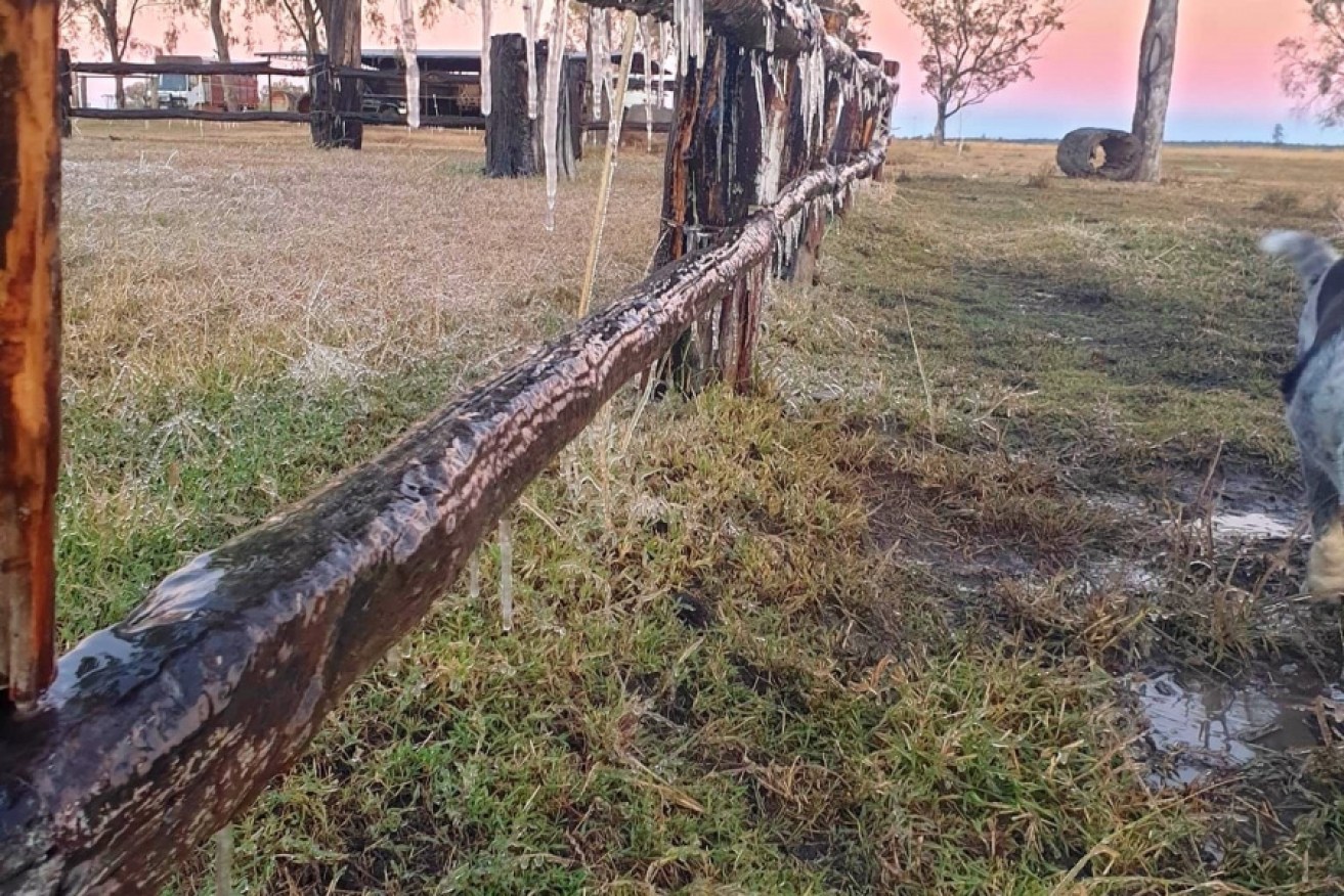 Injune in Queensland's Maranoa region saw a frosty morning of below zero temperatures. 