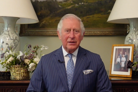 Prince Charles’ plea to super funds on climate