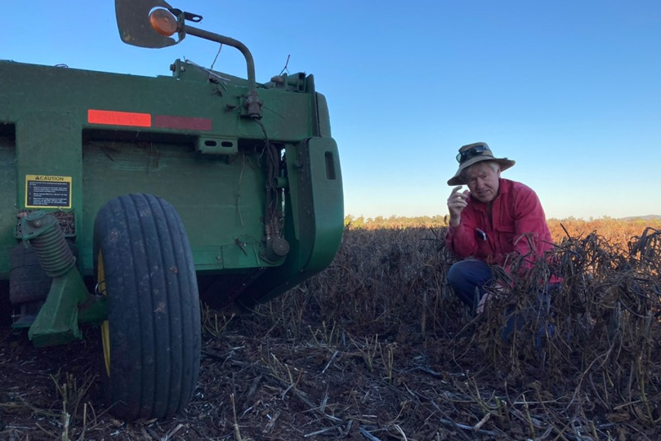 Xavier Martin has spent more than $70,00 on trying to protect his crops from the mouse plague.