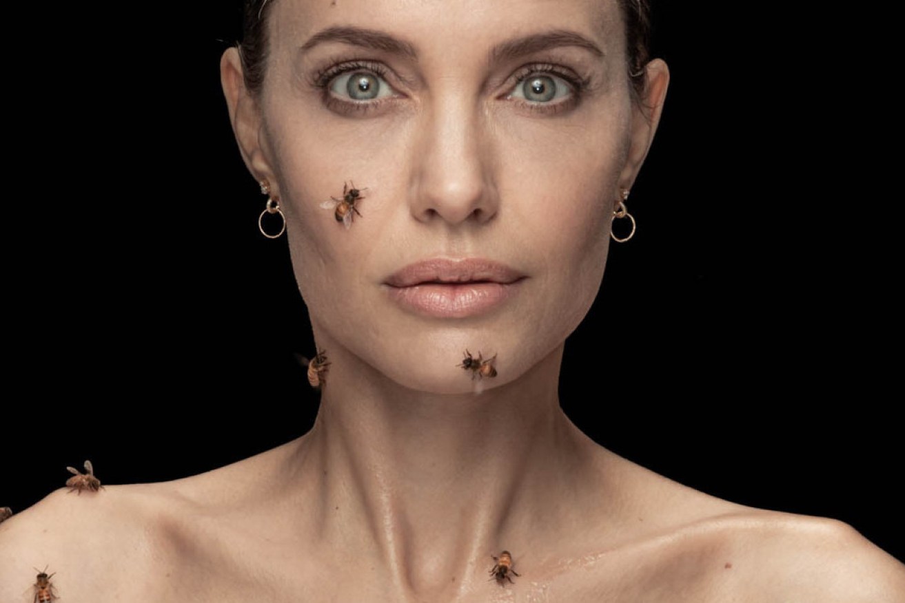 Jolie was wiped with pheremones before the bees began crawling on her.