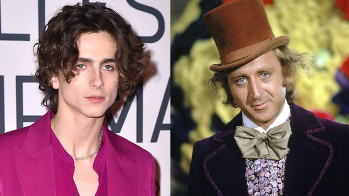 Willy Wonka remake: Timothée Chalamet to star in rumoured 'prequel'