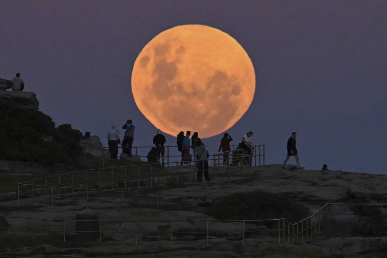 Stargazers in Sydney headed for the cliffs at Bondi on Wednesday night. The celestial event – known as ‘Super Flower Blood Moon’ – is the only full lunar eclipse of this year. 