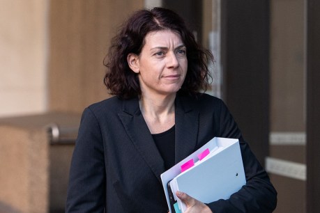 Porter loses barrister for defamation case