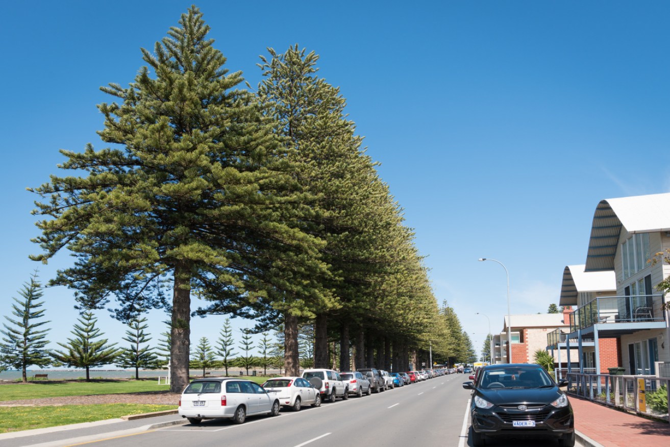 The girls were found in the SA coastal town of Victor Harbor on Friday.