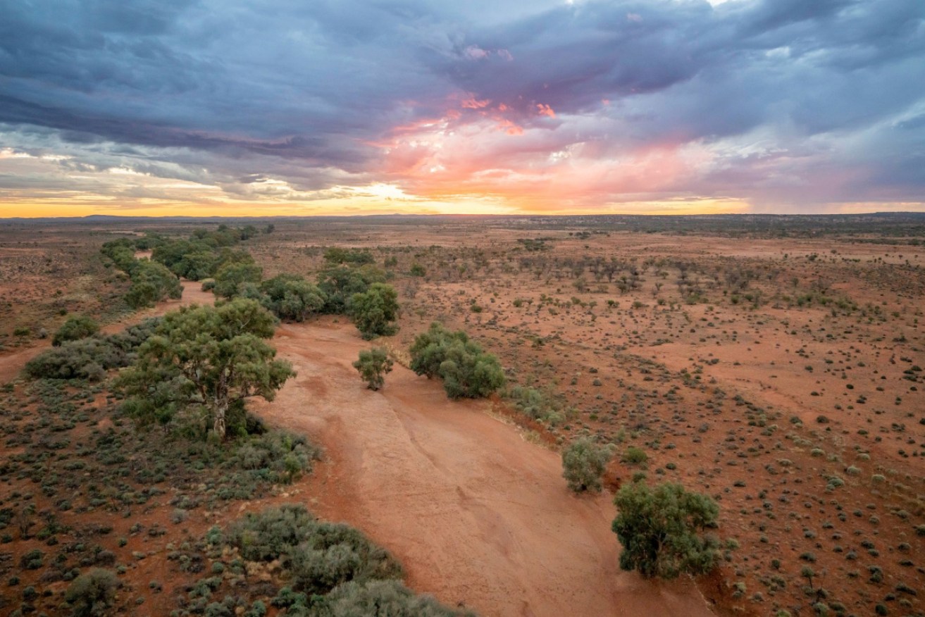 With the purchase of Langidoon and Metford stations, 60,468 hectares of land was acquired by the state government.