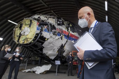 Judge views evidence that Buk downed Flight MH17