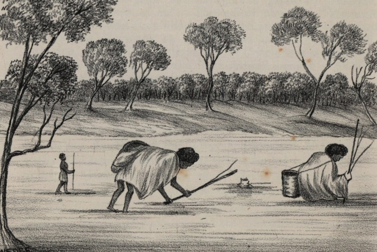 Illustrator William Todd said in 1835 "we depended on the food gathered by the Aboriginal women". 