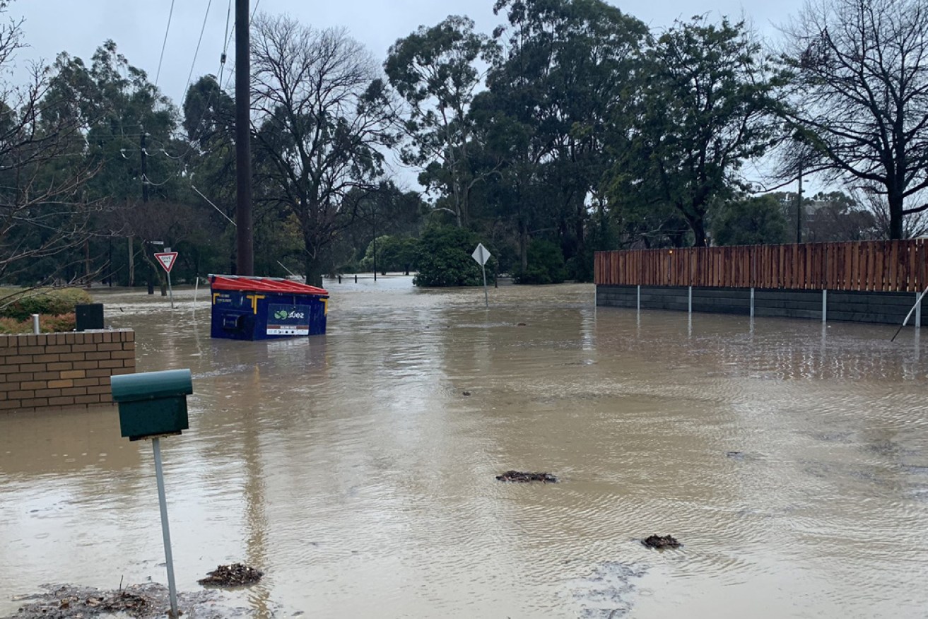 The Traralgon Creek was rising rapidly on Thursday morning.