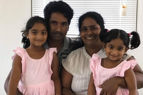 Liberal MP Trent Zimmerman calls for Biloela family to be allowed to stay in Australia