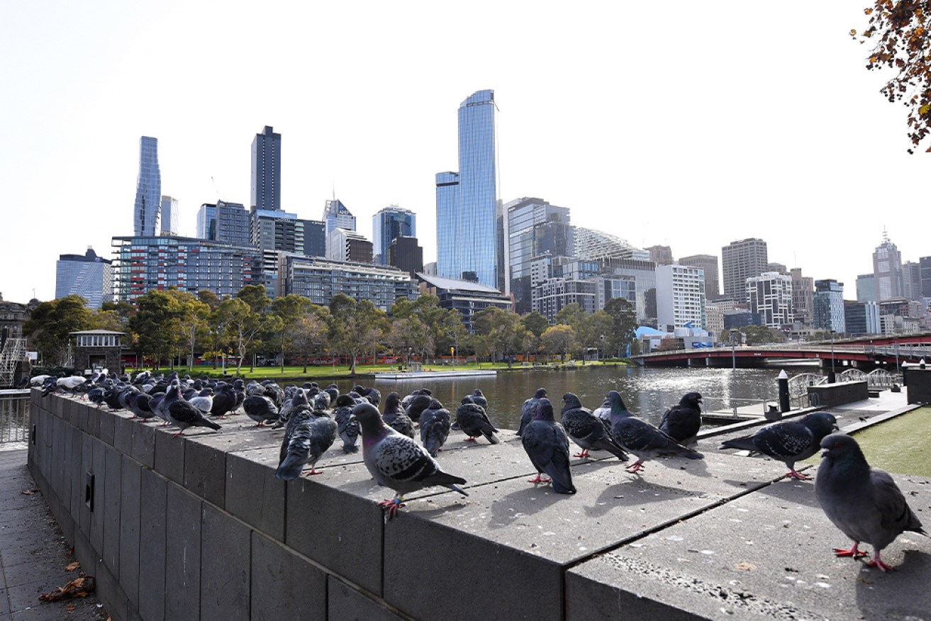 Genomic testing has established links between two cases, forcing a Southbank building into lockdown.