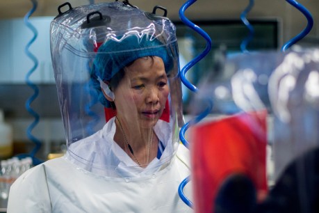 A top virologist in China, at centre of a pandemic storm, speaks out