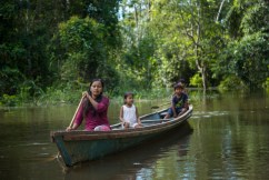 Peru’s Amazon rainforest national park earns gong