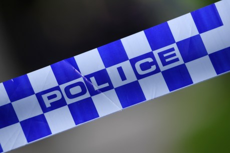 Alleged police assault of Indigenous man