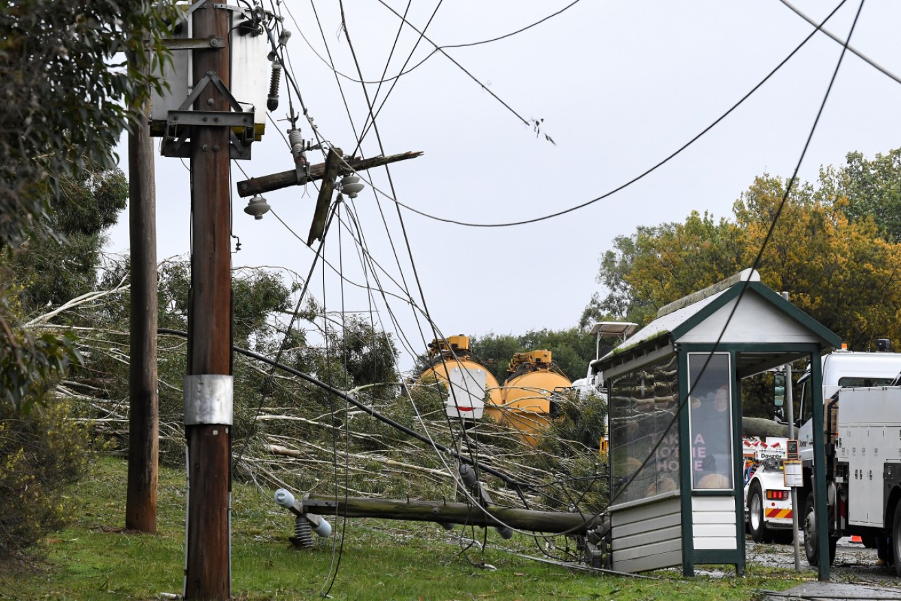 About 9000 properties and businesses across Victoria's east remain without power after wild weather.