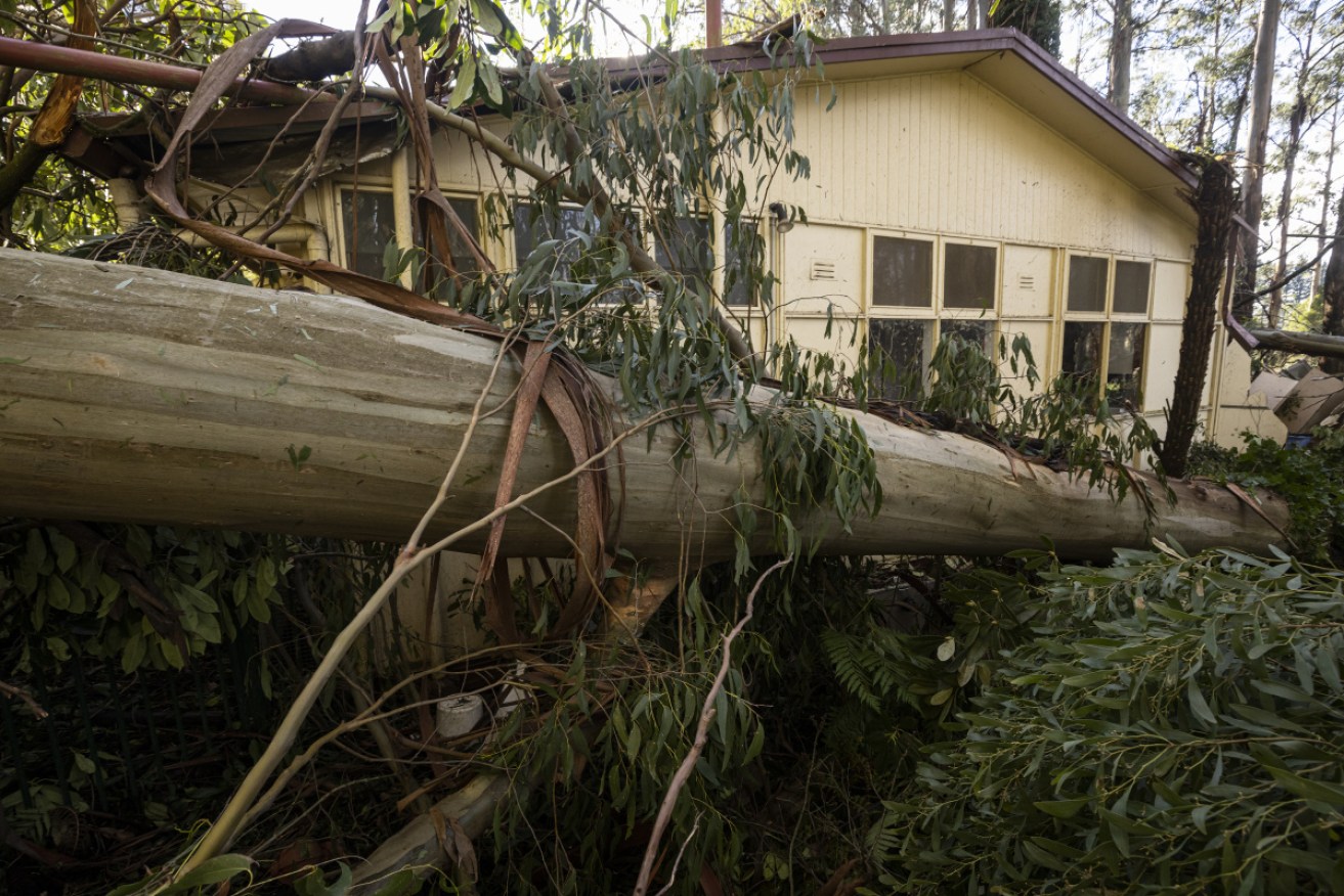 Storm damage at Mount Dandenong Preschool, east of Melbourne.