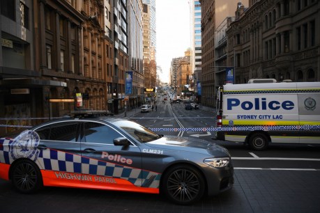 Crime boss dies in &#8216;execution-style murder&#8217; in Sydney CBD