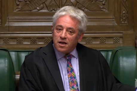 Ex-Speaker and Brexit referee John Bercow joins Labour Party